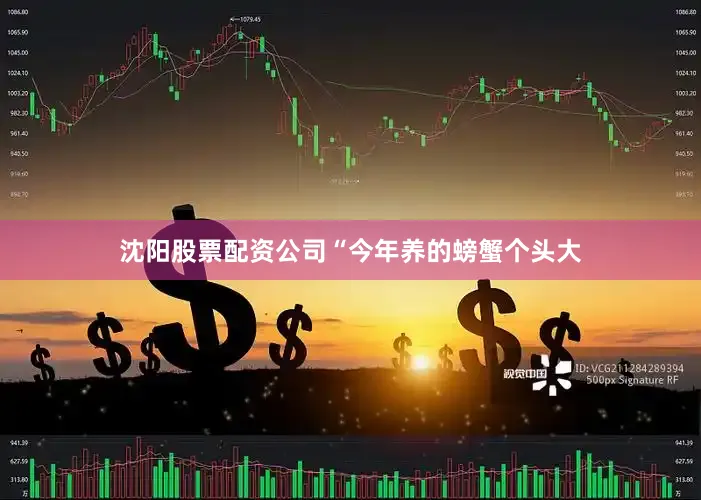 沈阳股票配资公司“今年养的螃蟹个头大