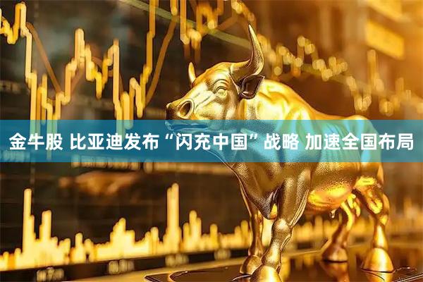 金牛股 比亚迪发布“闪充中国”战略 加速全国布局