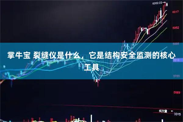 掌牛宝 裂缝仪是什么，它是结构安全监测的核心工具