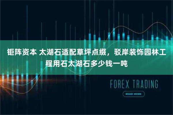 钜阵资本 太湖石适配草坪点缀，驳岸装饰园林工程用石太湖石多少钱一吨
