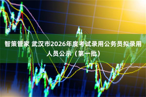 智策管家 武汉市2026年度考试录用公务员拟录用人员公示（第一批）